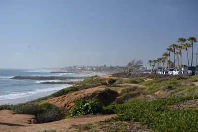 DSC_6914 (Large).JPG